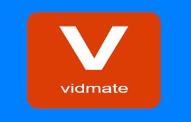 Can Vidmate Download Subtitles For Videos?
