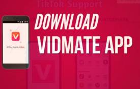 Can Vidmate Download Videos Without A Watermark?
