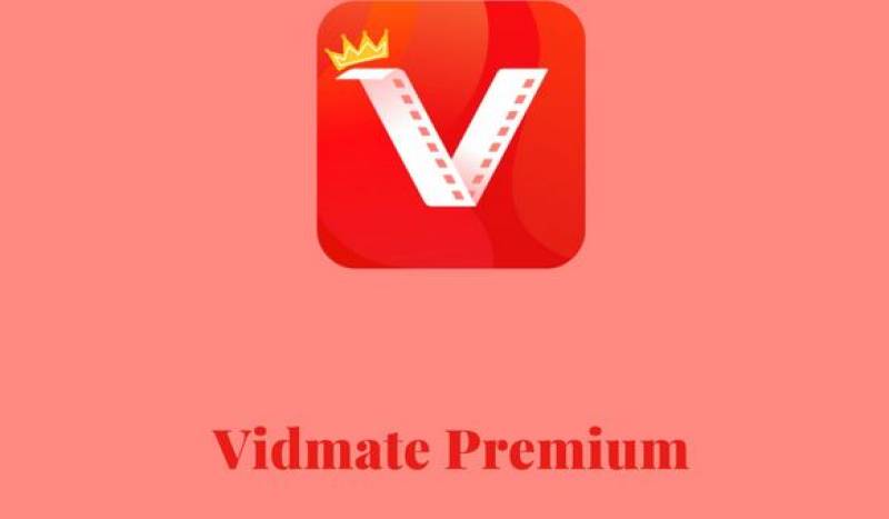 How To Organize Downloaded Content In Vidmate?